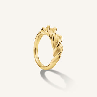 Anello a spirale leftcolumn