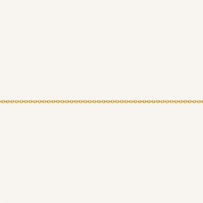 B-Gold-1,leftcolumn