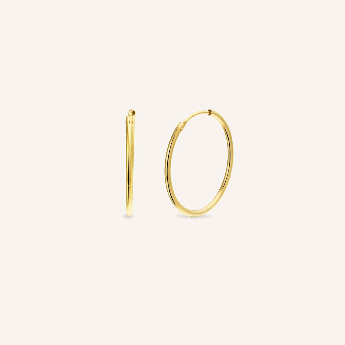 Hoop Earrings leftcolumn